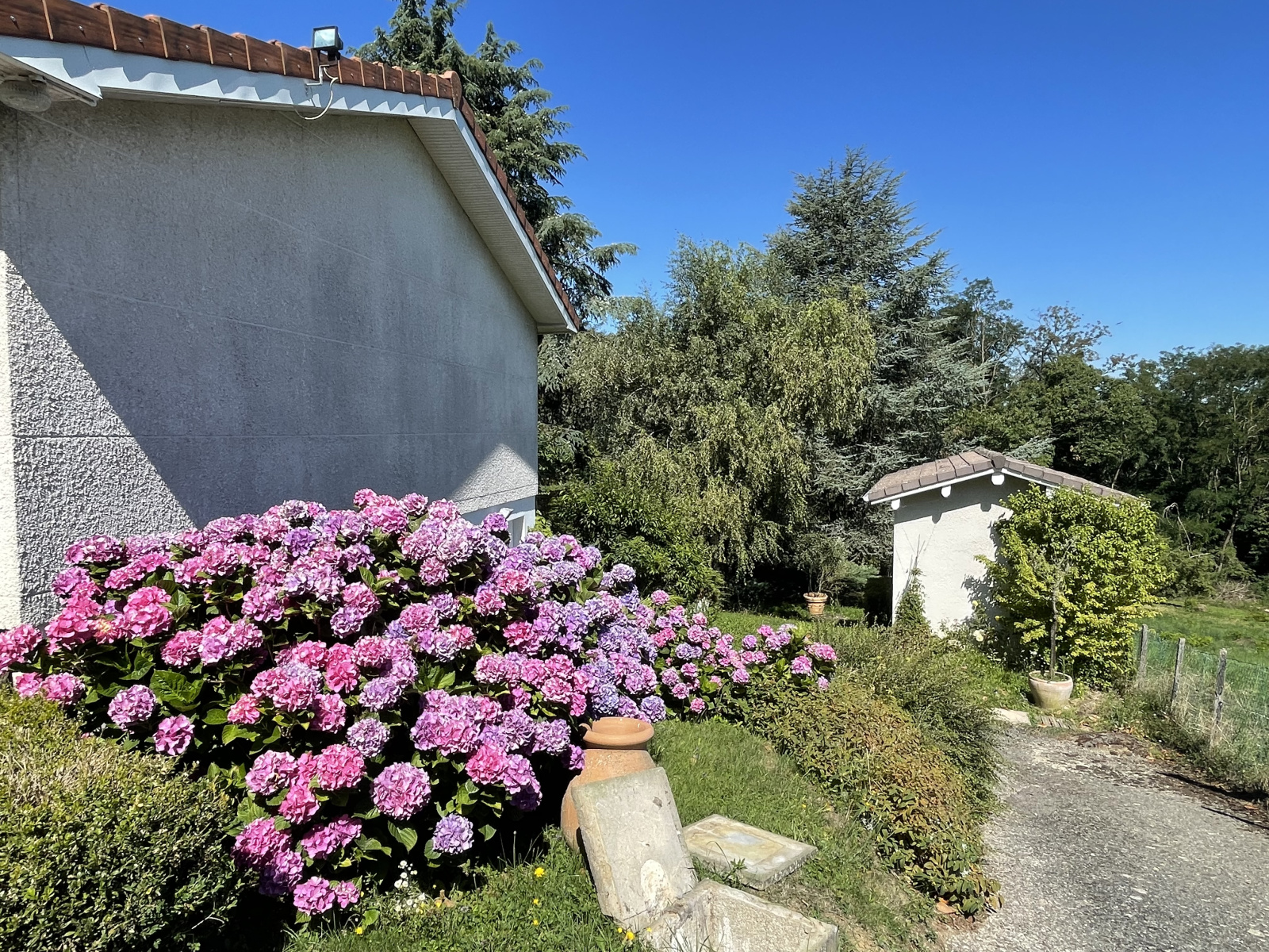 Image_9, Maison, Saint-Just-Chaleyssin, ref :811