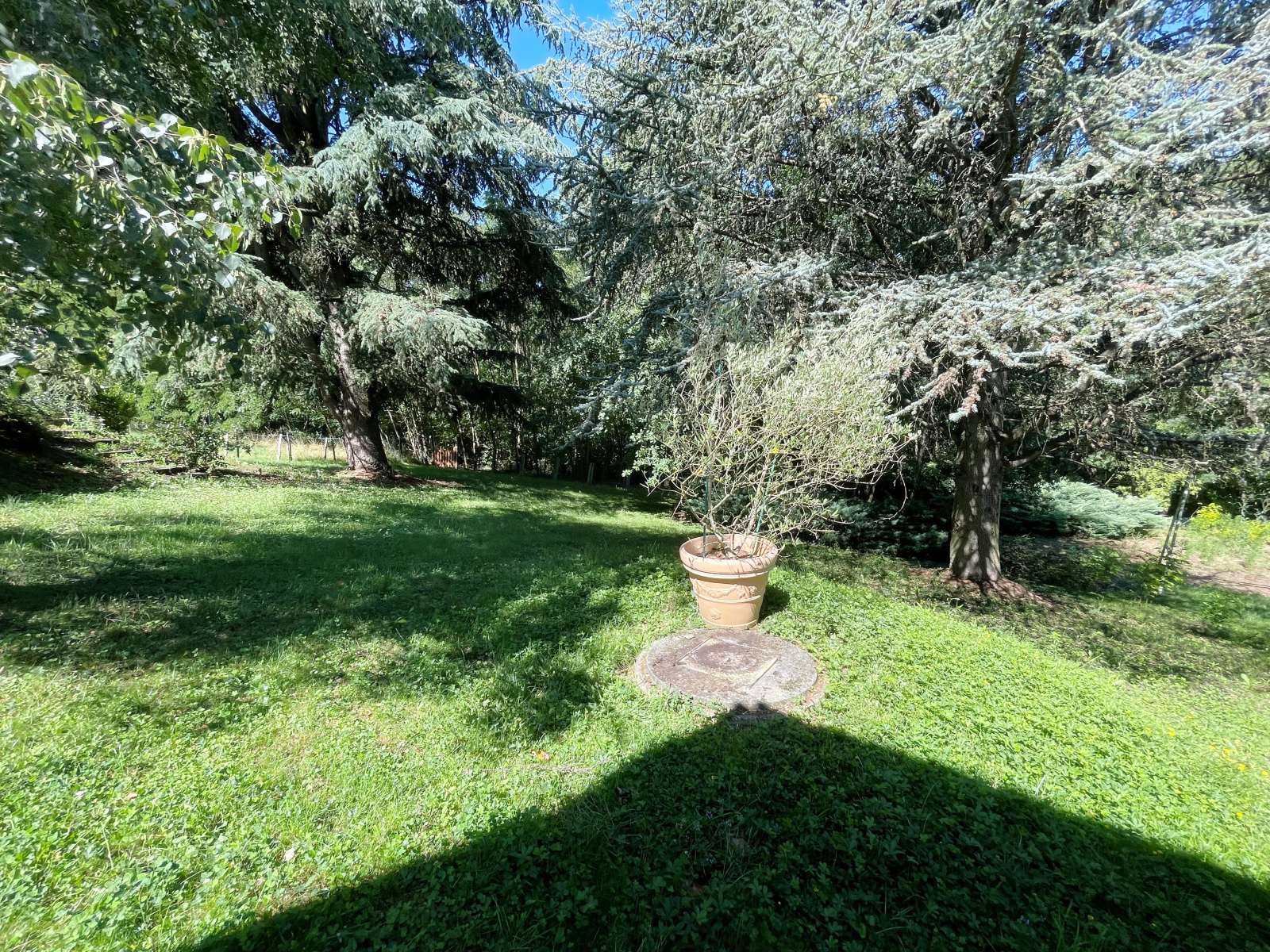 Image_10, Maison, Saint-Just-Chaleyssin, ref :811